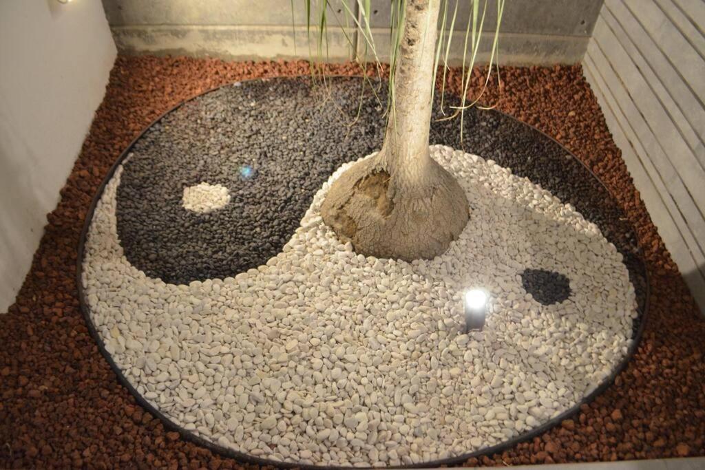 Casa Familiar Con Alberca Privada Climatizada Villa Guadalajara Dış mekan fotoğraf
